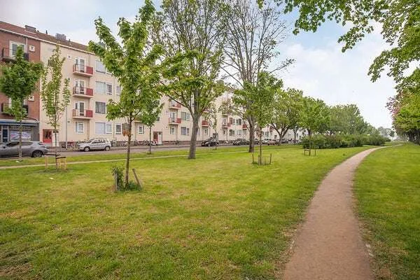 geblurde versie van de foto als achtergrond