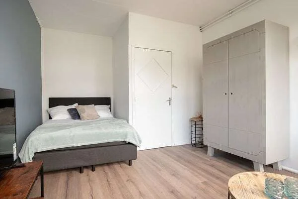 geblurde versie van de foto als achtergrond