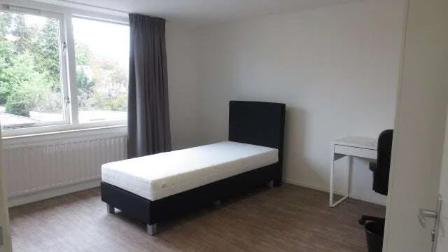 Foto van de Studio gelegen aan de Woenselsestraat in Eindhoven