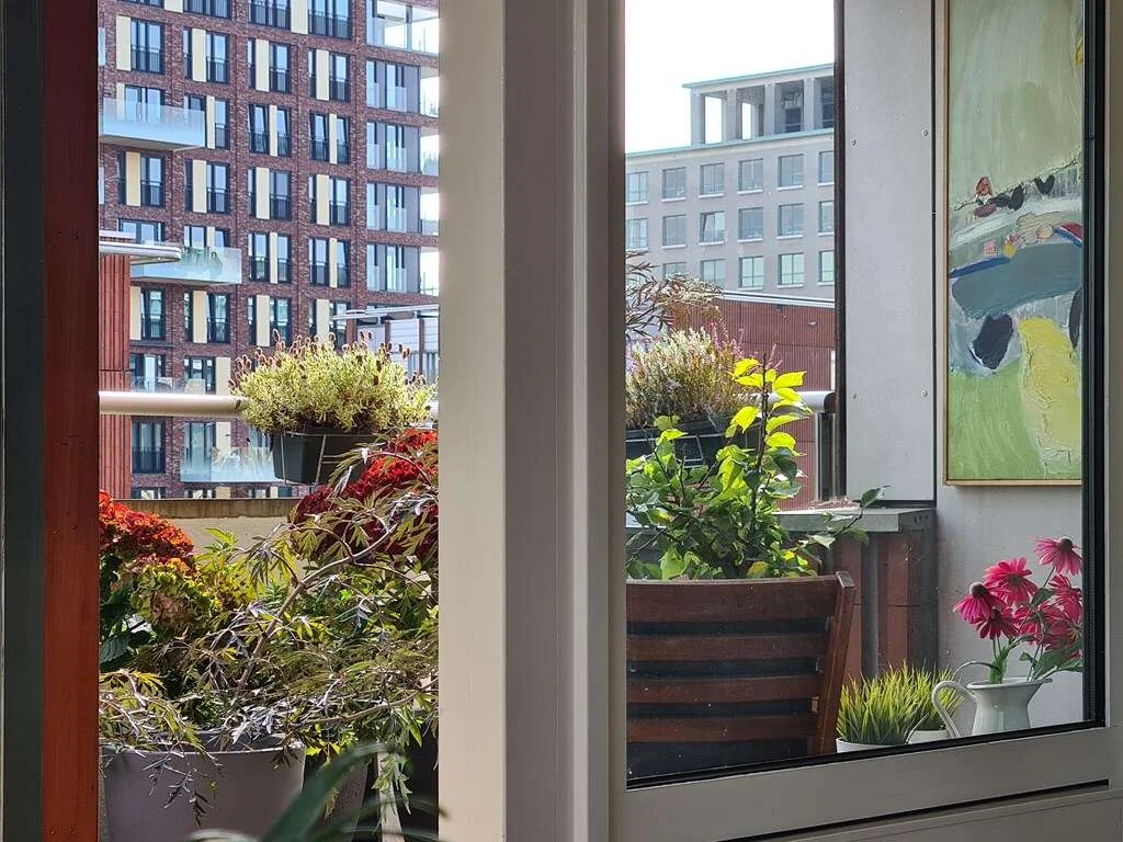 geblurde versie van de foto als achtergrond