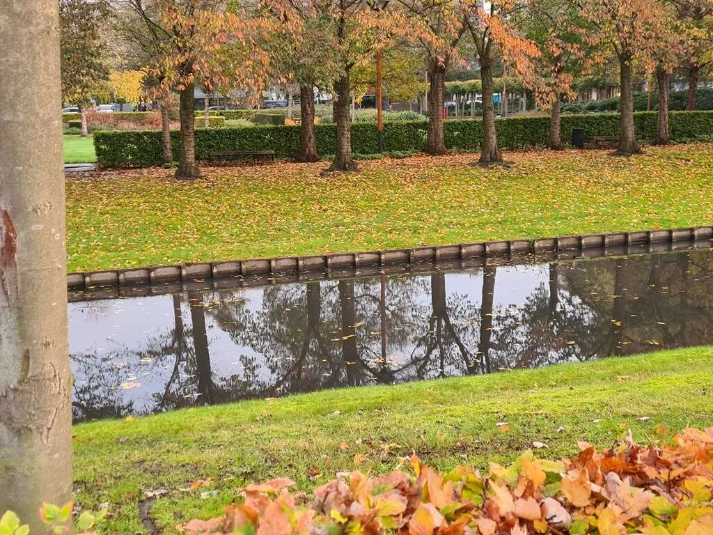 geblurde versie van de foto als achtergrond