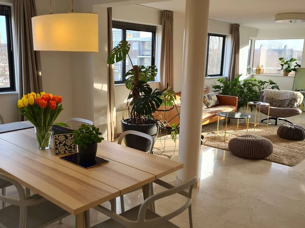 geblurde versie van de foto als achtergrond