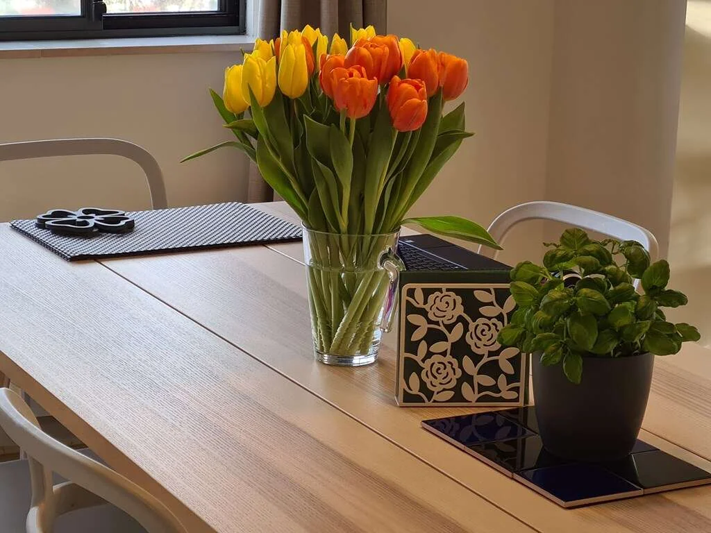 geblurde versie van de foto als achtergrond