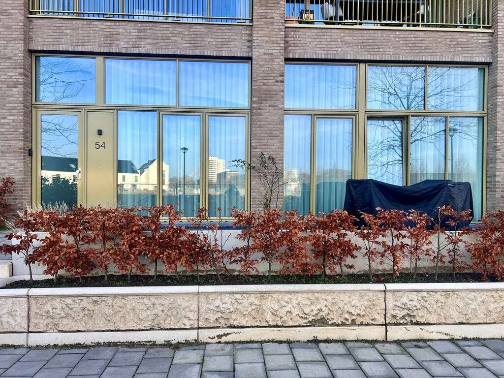 geblurde versie van de foto als achtergrond