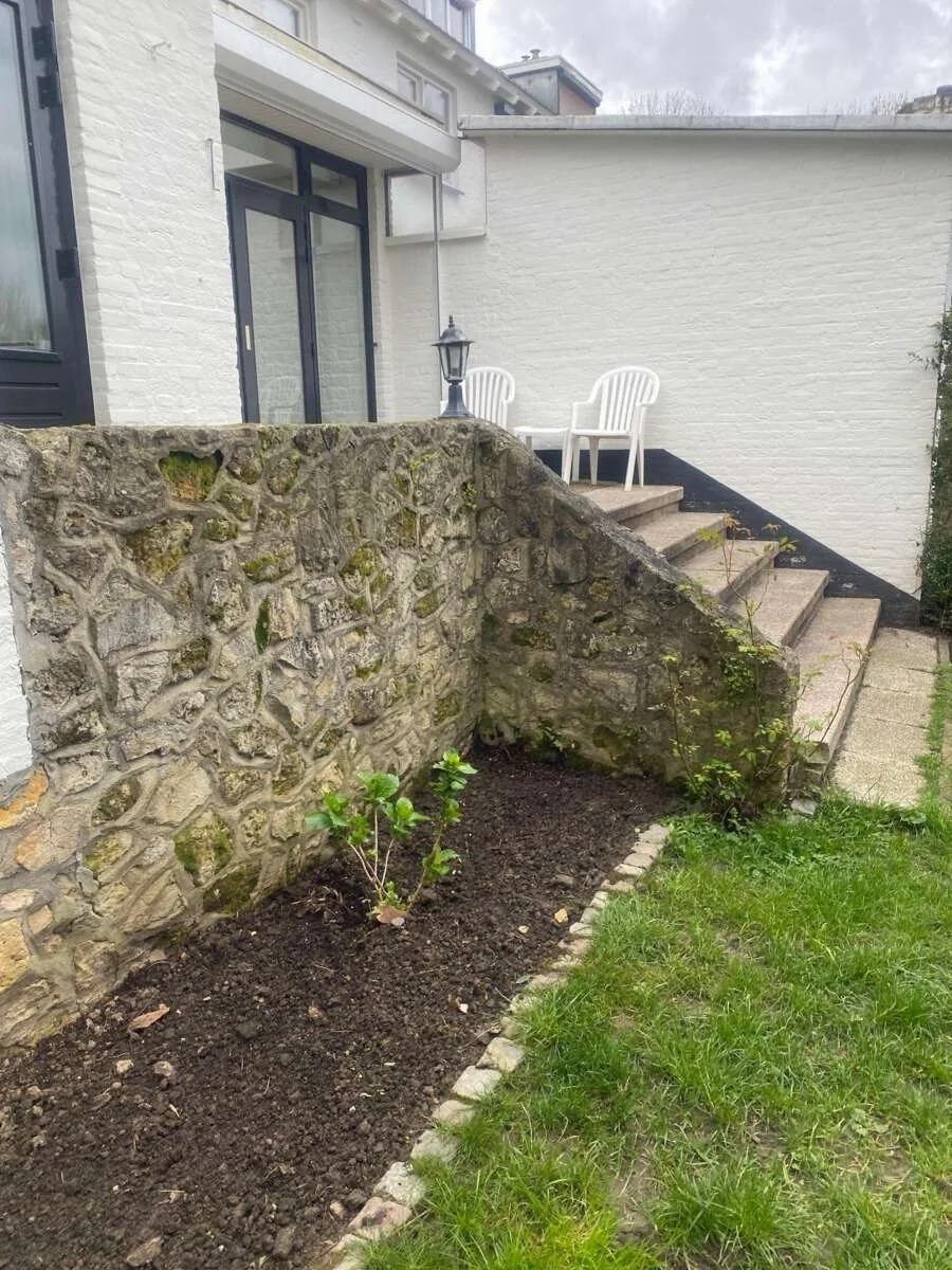 geblurde versie van de foto als achtergrond