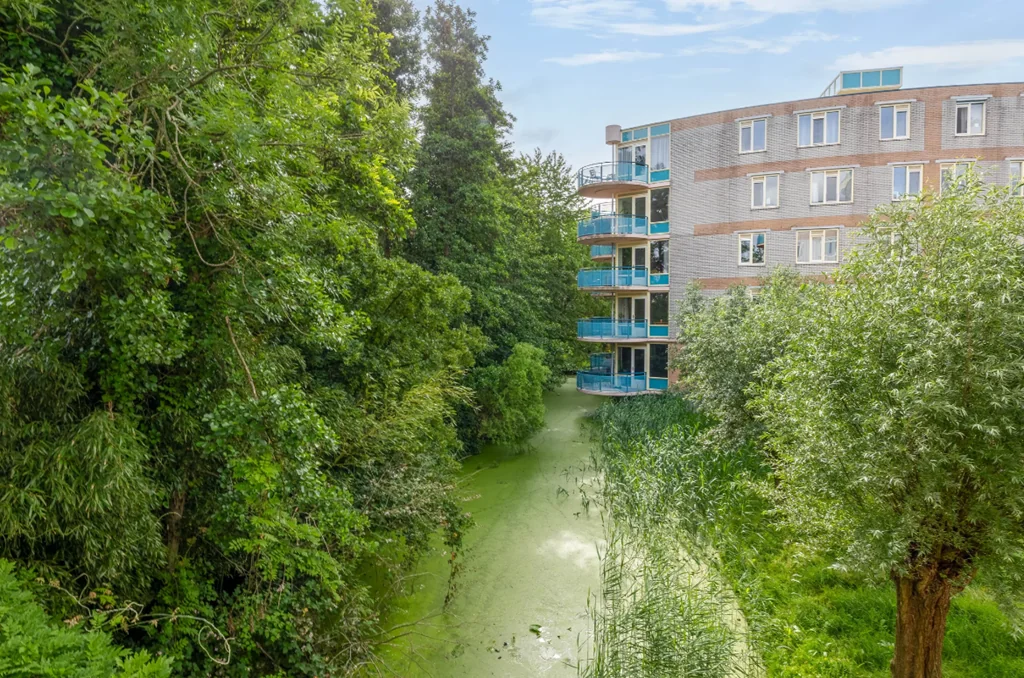 geblurde versie van de foto als achtergrond