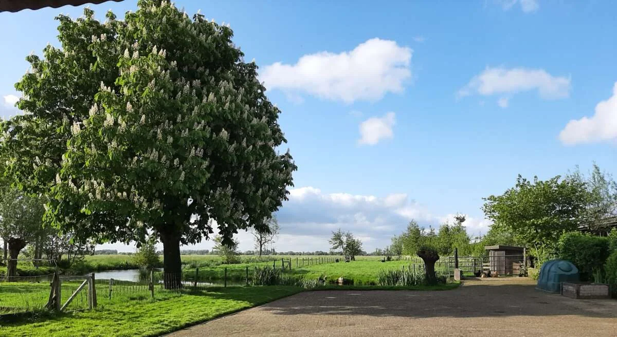 Foto van de Appartement gelegen aan de Benedenberg in Bergambacht