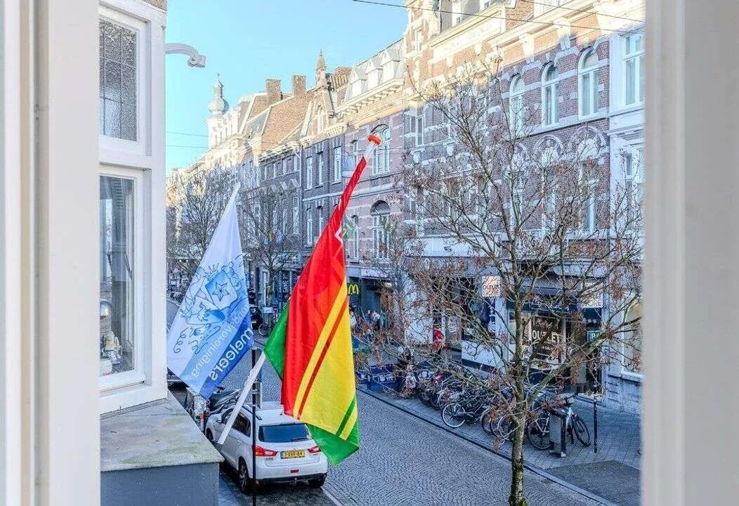 geblurde versie van de foto als achtergrond