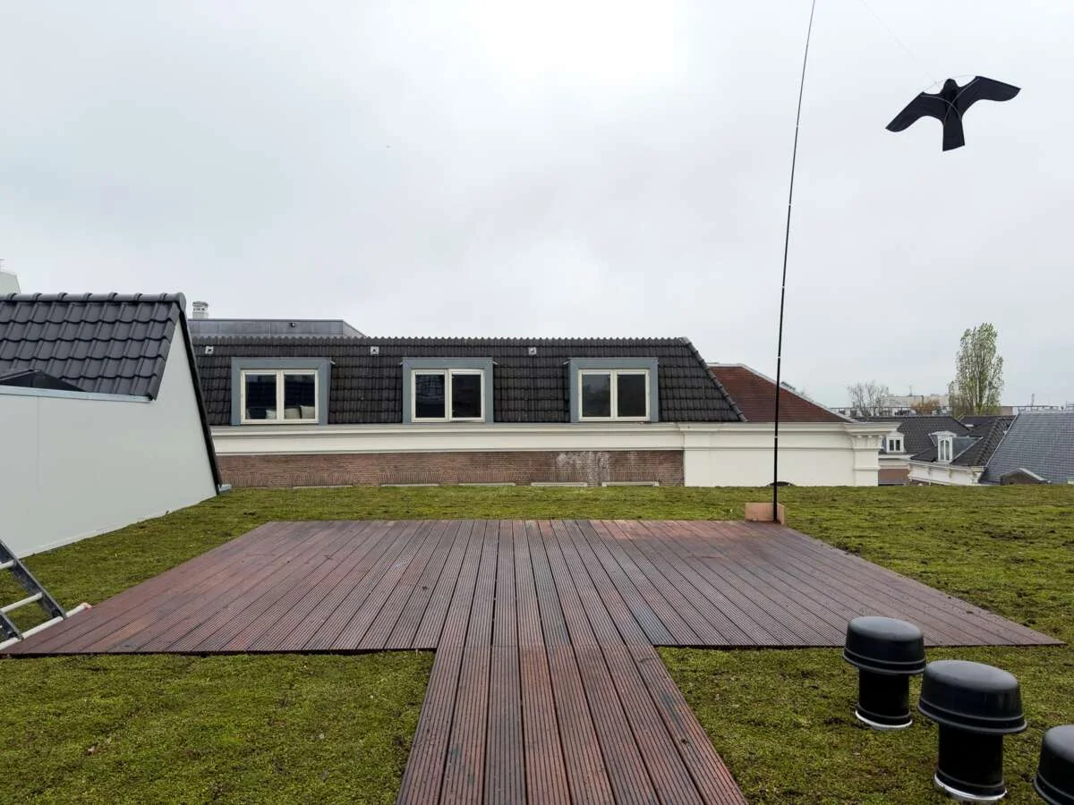 geblurde versie van de foto als achtergrond