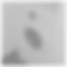 Foto van de Appartement gelegen aan de Accumulatorstraat in Eindhoven