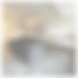 Foto van de Appartement gelegen aan de Broekhovenseweg in Tilburg