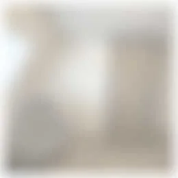 Foto van de Appartement gelegen aan de Broekhovenseweg in Tilburg