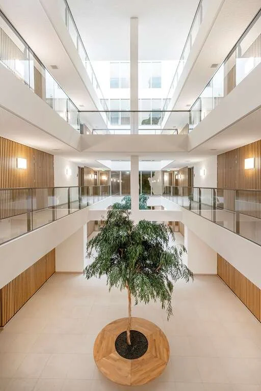 geblurde versie van de foto als achtergrond