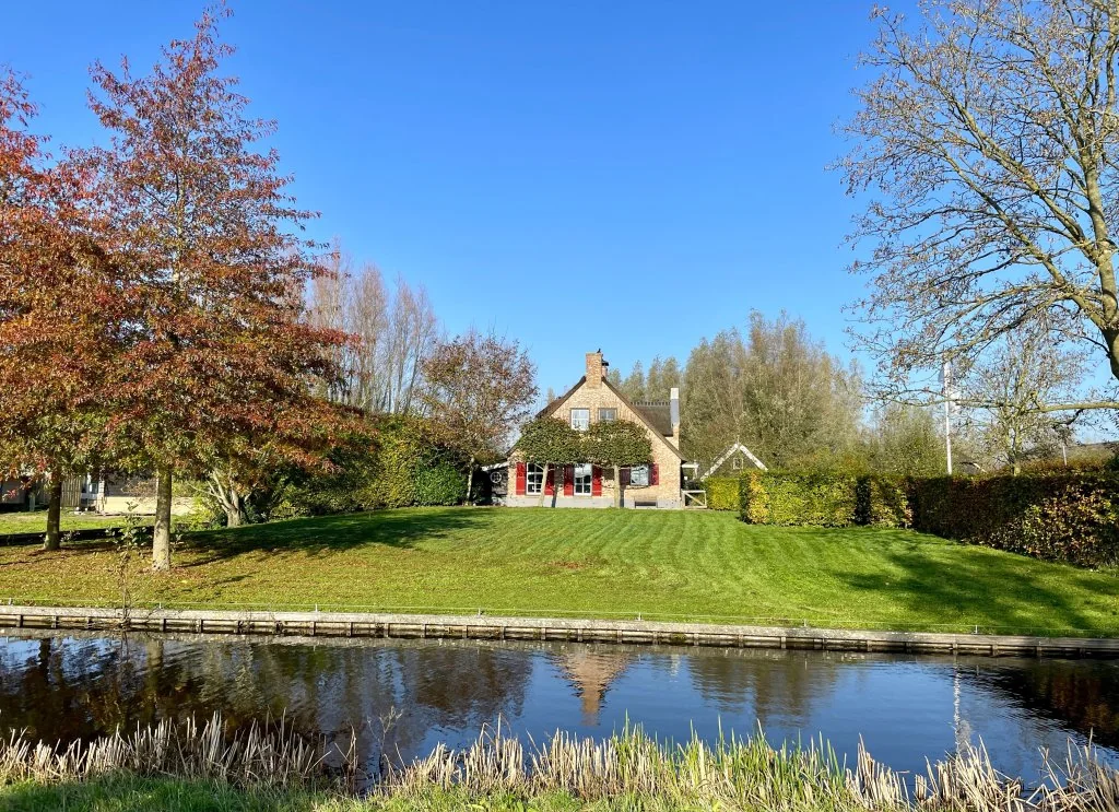 geblurde versie van de foto als achtergrond