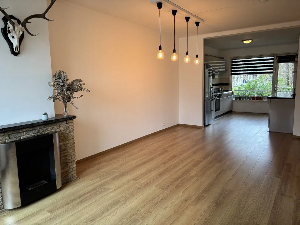 geblurde versie van de foto als achtergrond