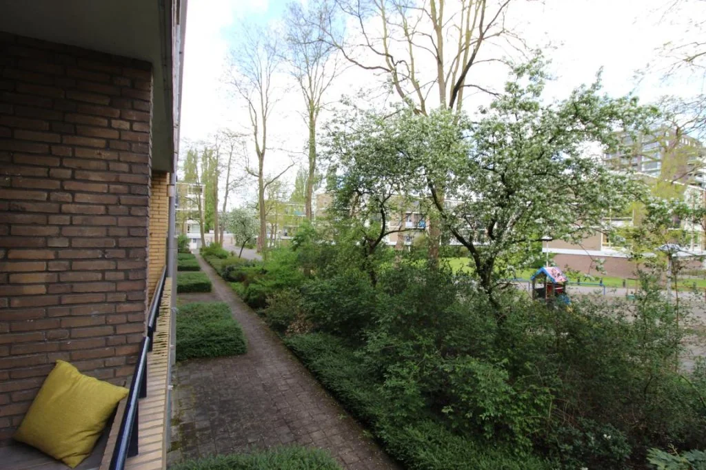 geblurde versie van de foto als achtergrond