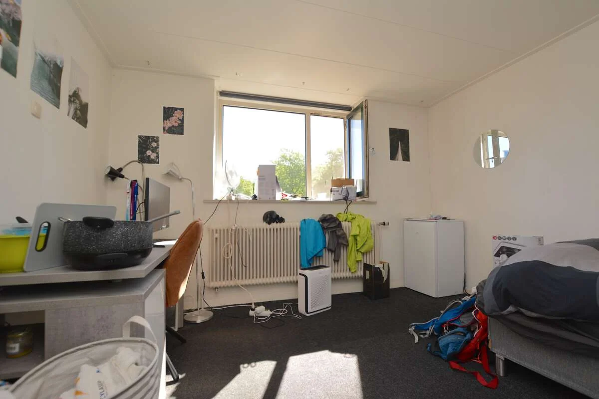 geblurde versie van de foto als achtergrond