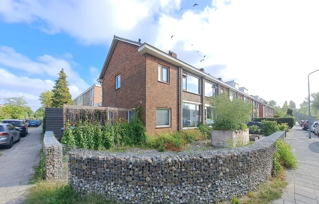 geblurde versie van de foto als achtergrond