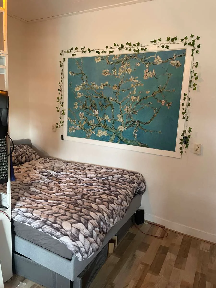 Foto van de Kamer gelegen aan de Deventerstraatweg in Zwolle