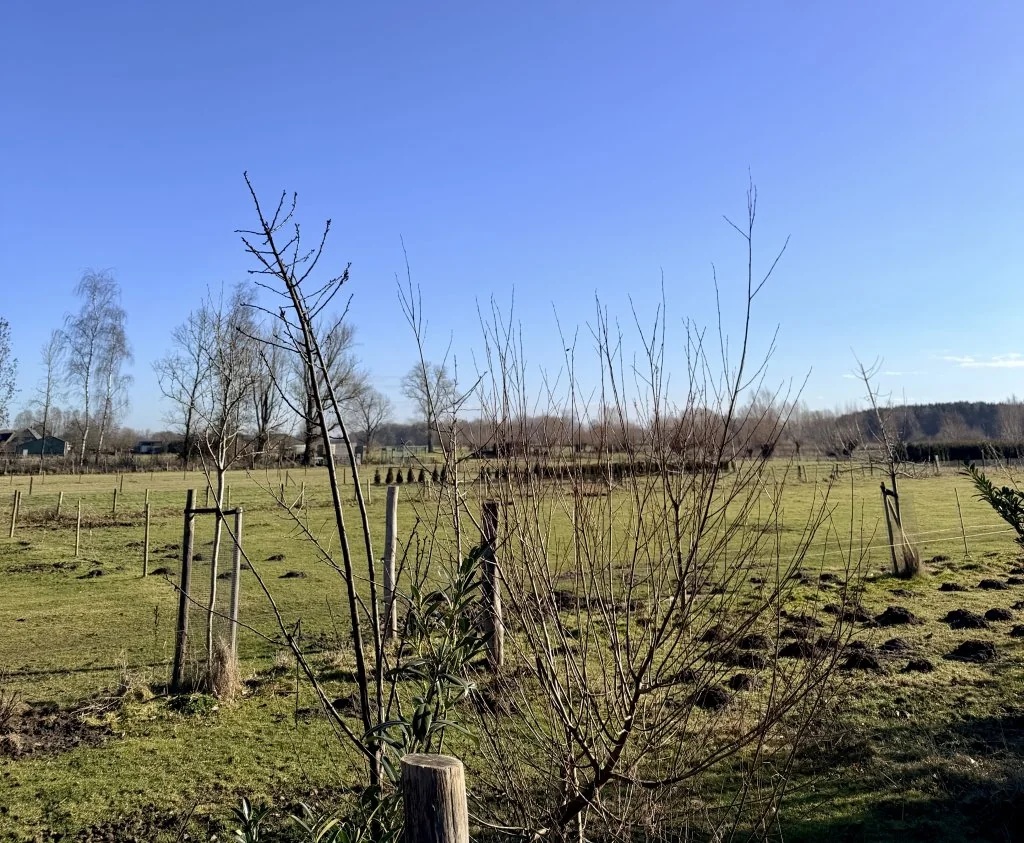Foto van de Appartement gelegen aan de Stakenburgstraat in Son en Breugel