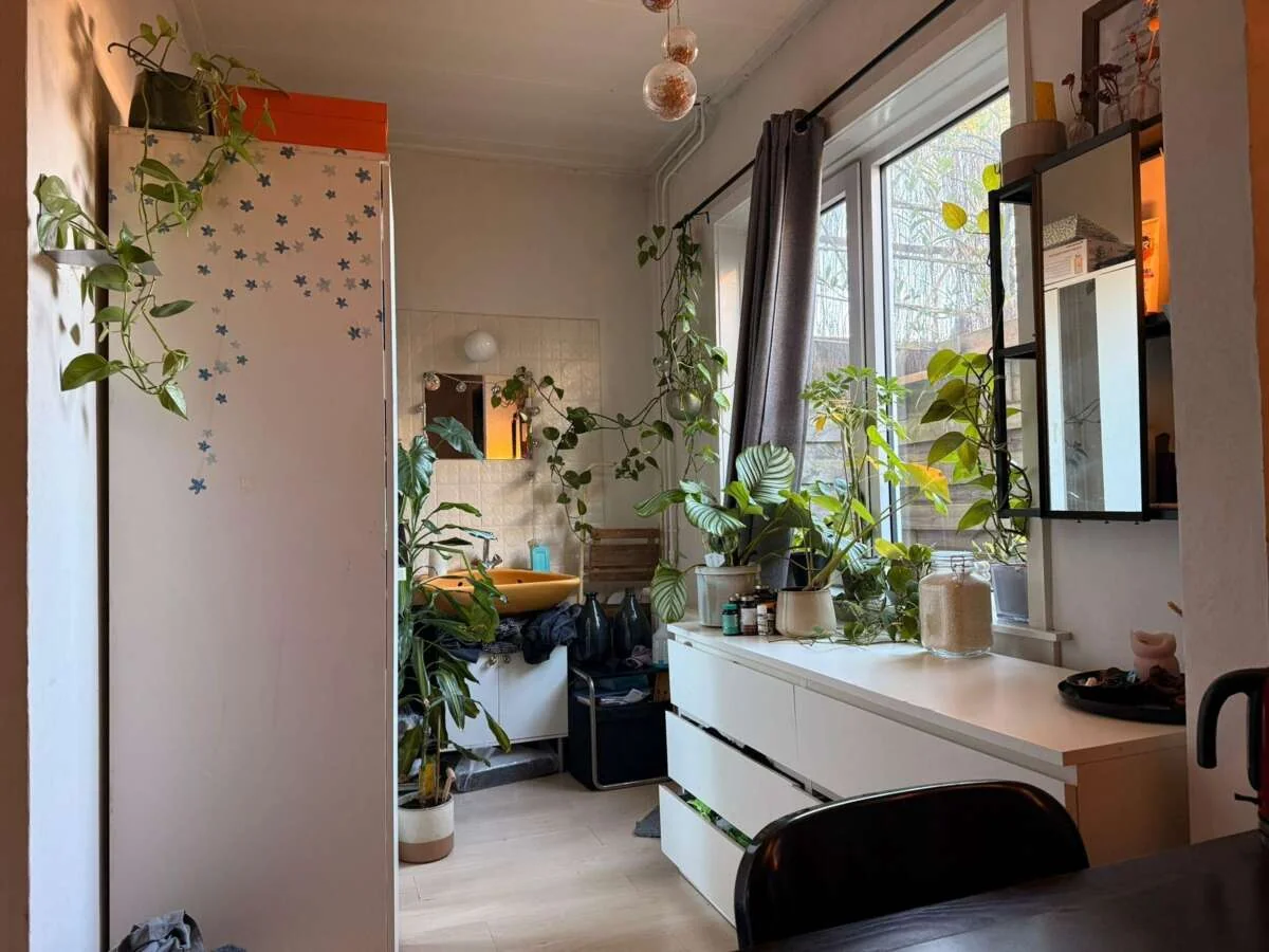 geblurde versie van de foto als achtergrond