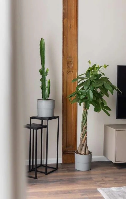 Foto van de Appartement gelegen aan de Bezuidenhoutseweg in Den Haag