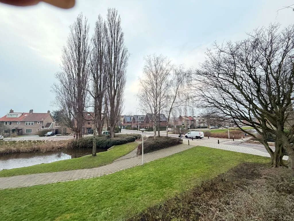 geblurde versie van de foto als achtergrond