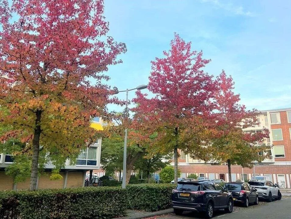 Foto van de Appartement gelegen aan de Dirk Schäferstraat in Amsterdam