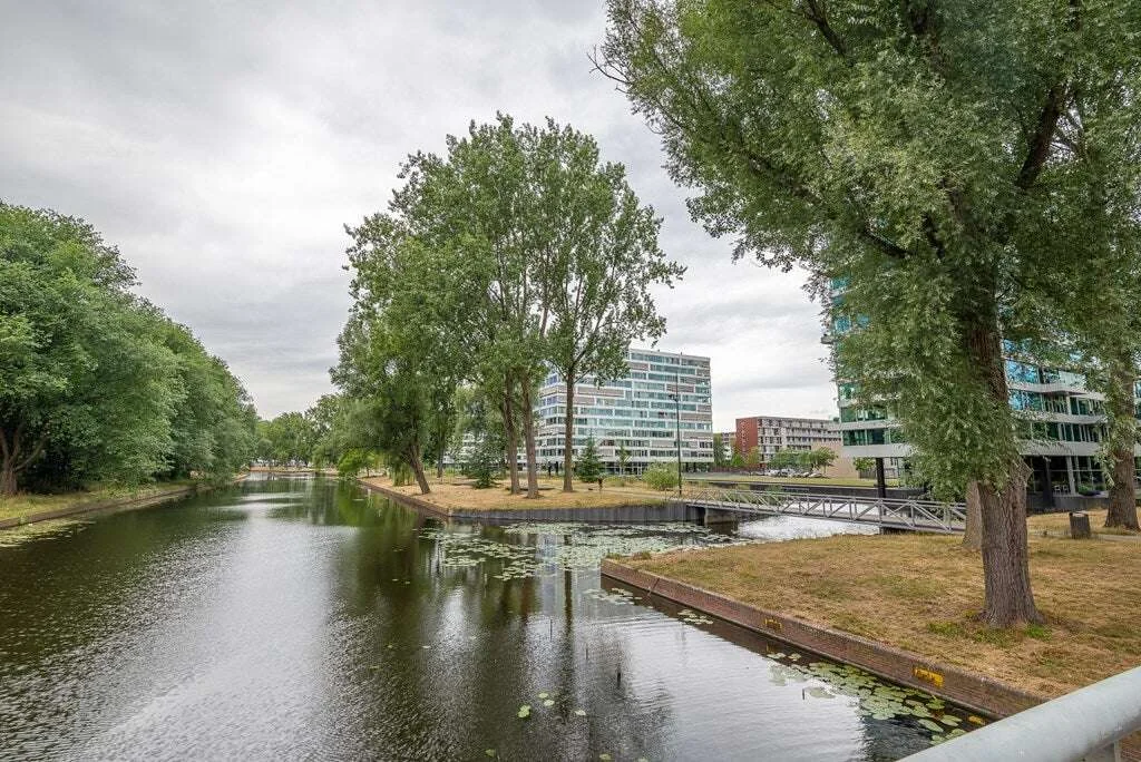 geblurde versie van de foto als achtergrond