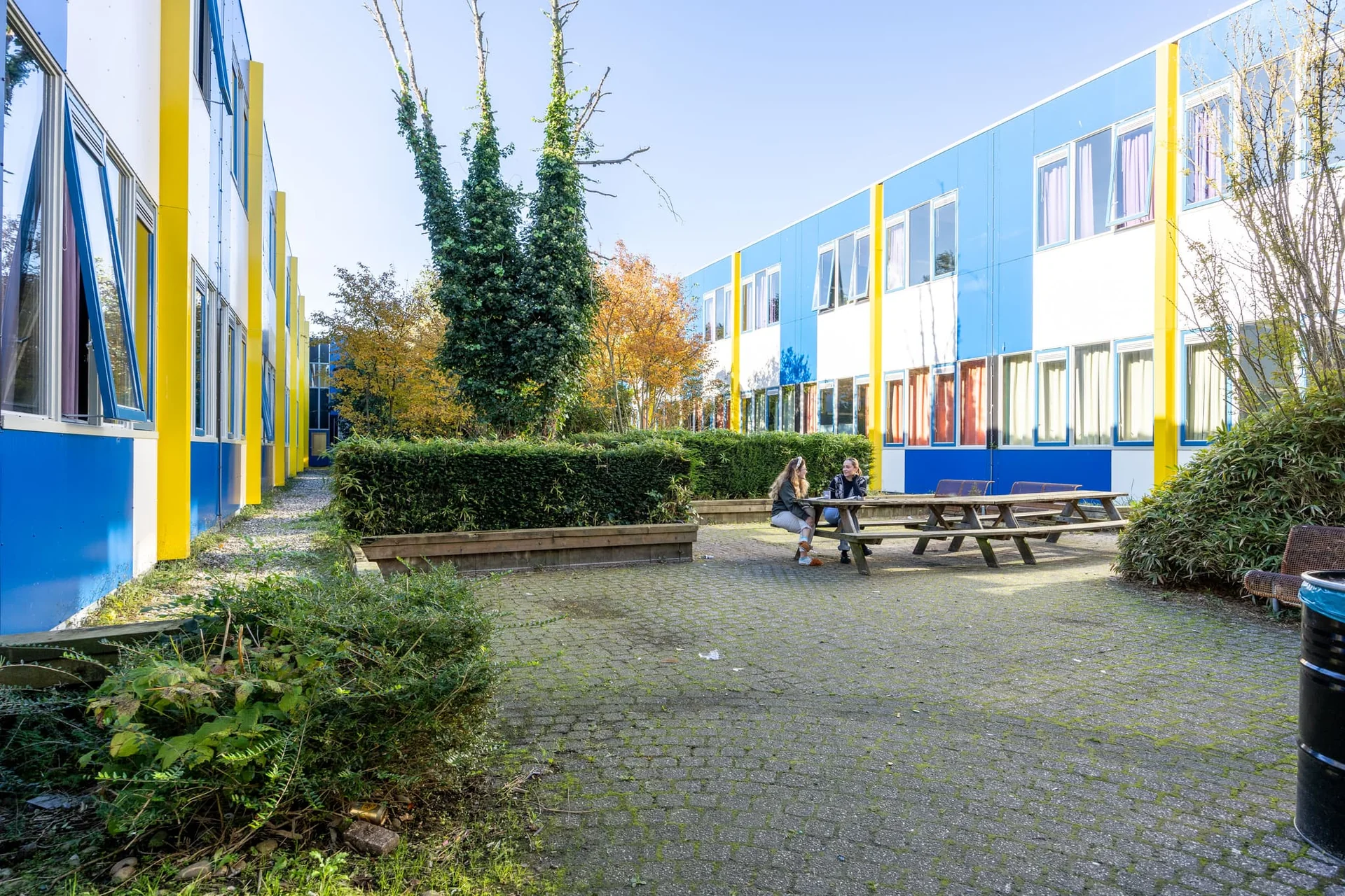 geblurde versie van de foto als achtergrond