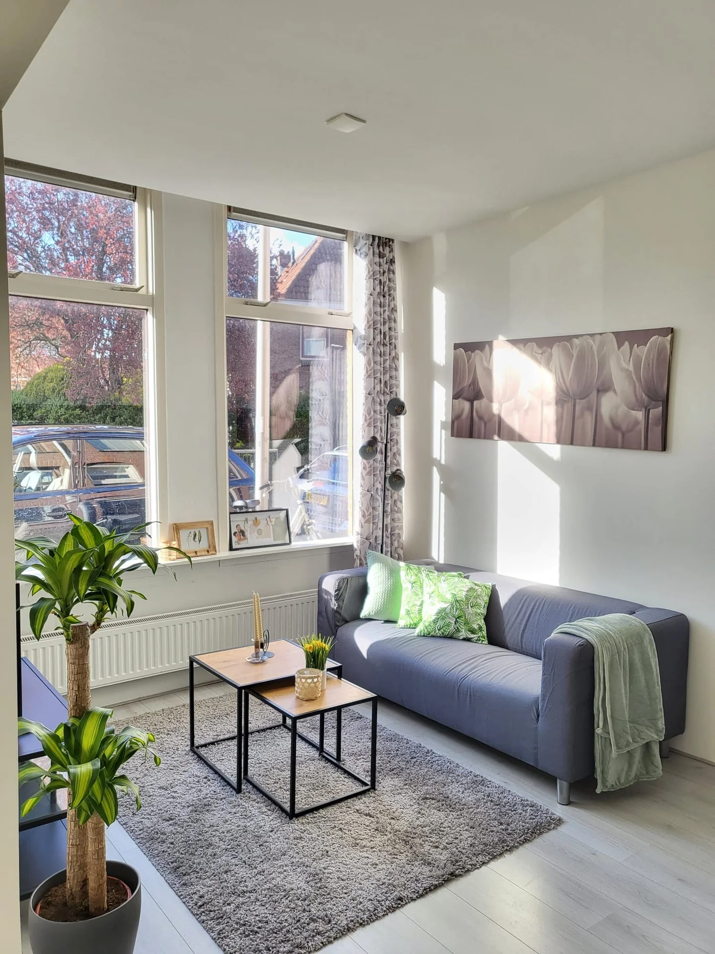 Foto van de Kamer gelegen aan de Oleanderstraat in Utrecht