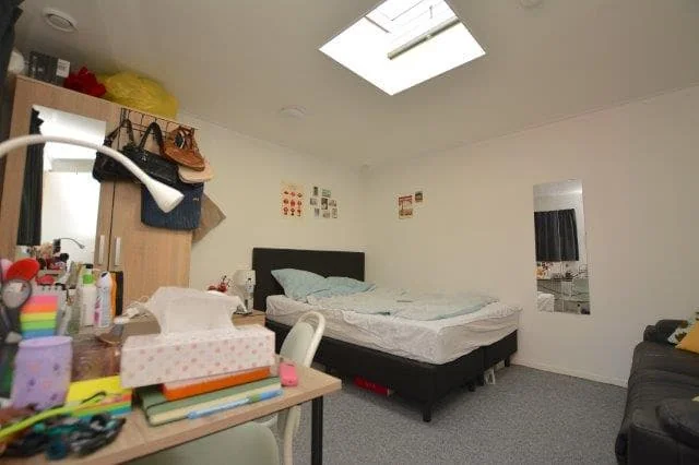 geblurde versie van de foto als achtergrond