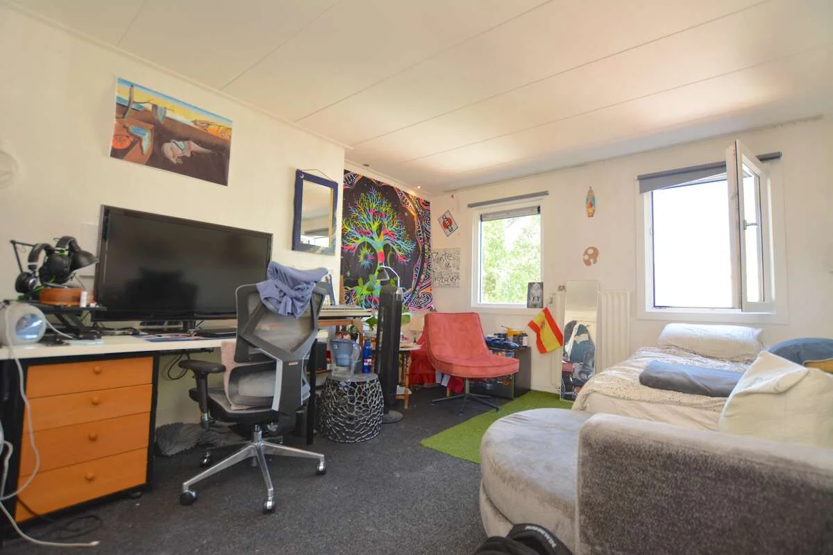 geblurde versie van de foto als achtergrond