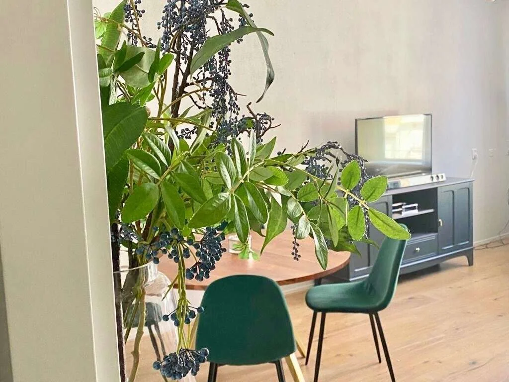 Foto van de Appartement gelegen aan de Mallemolen in Den Haag