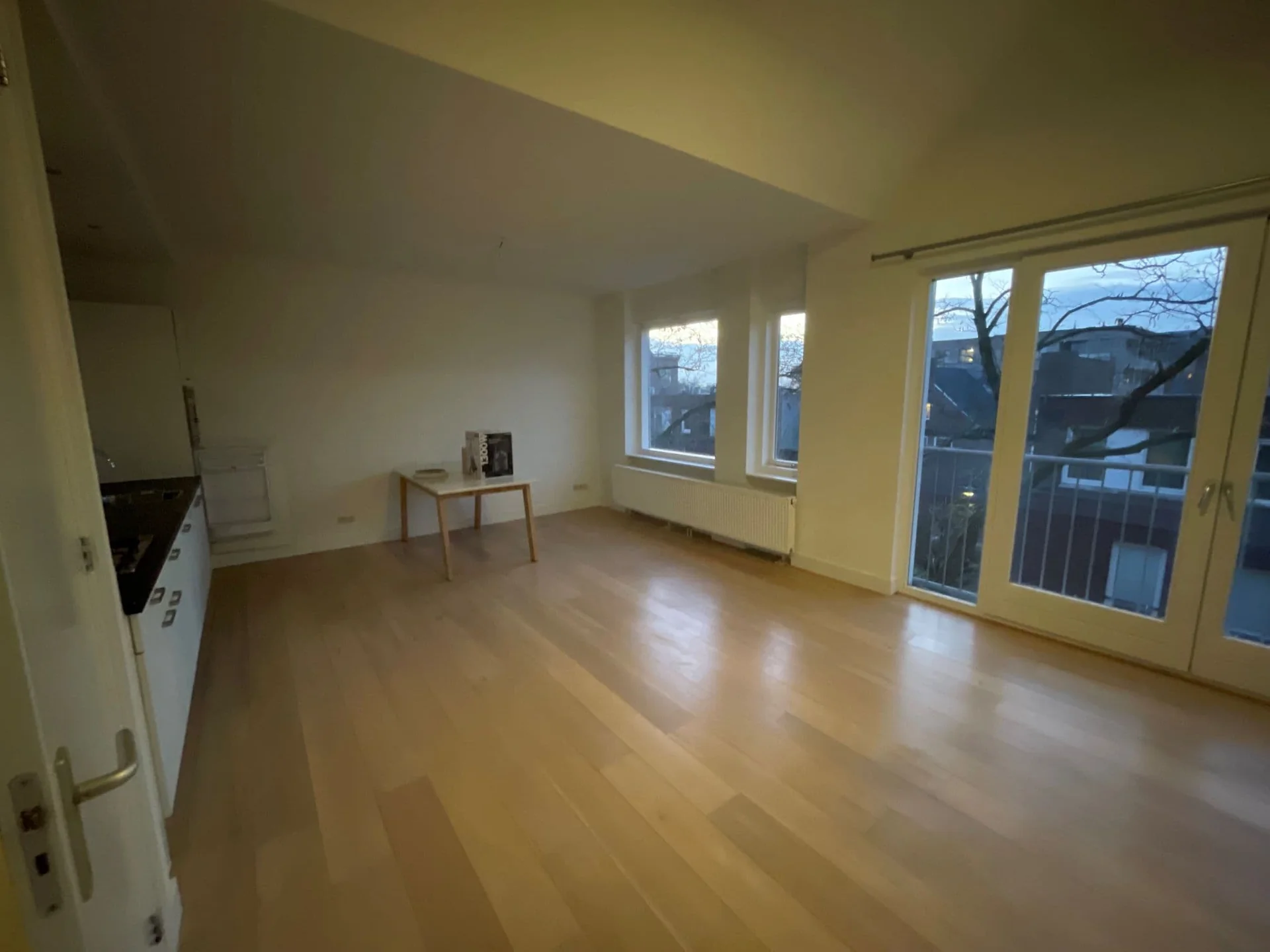 Foto van de Appartement gelegen aan de Maerten van Heemskerckstraat in Haarlem