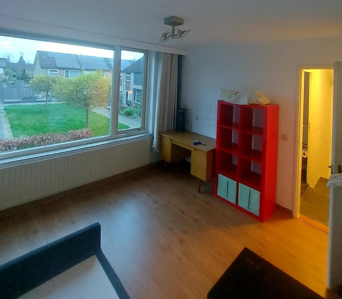 geblurde versie van de foto als achtergrond