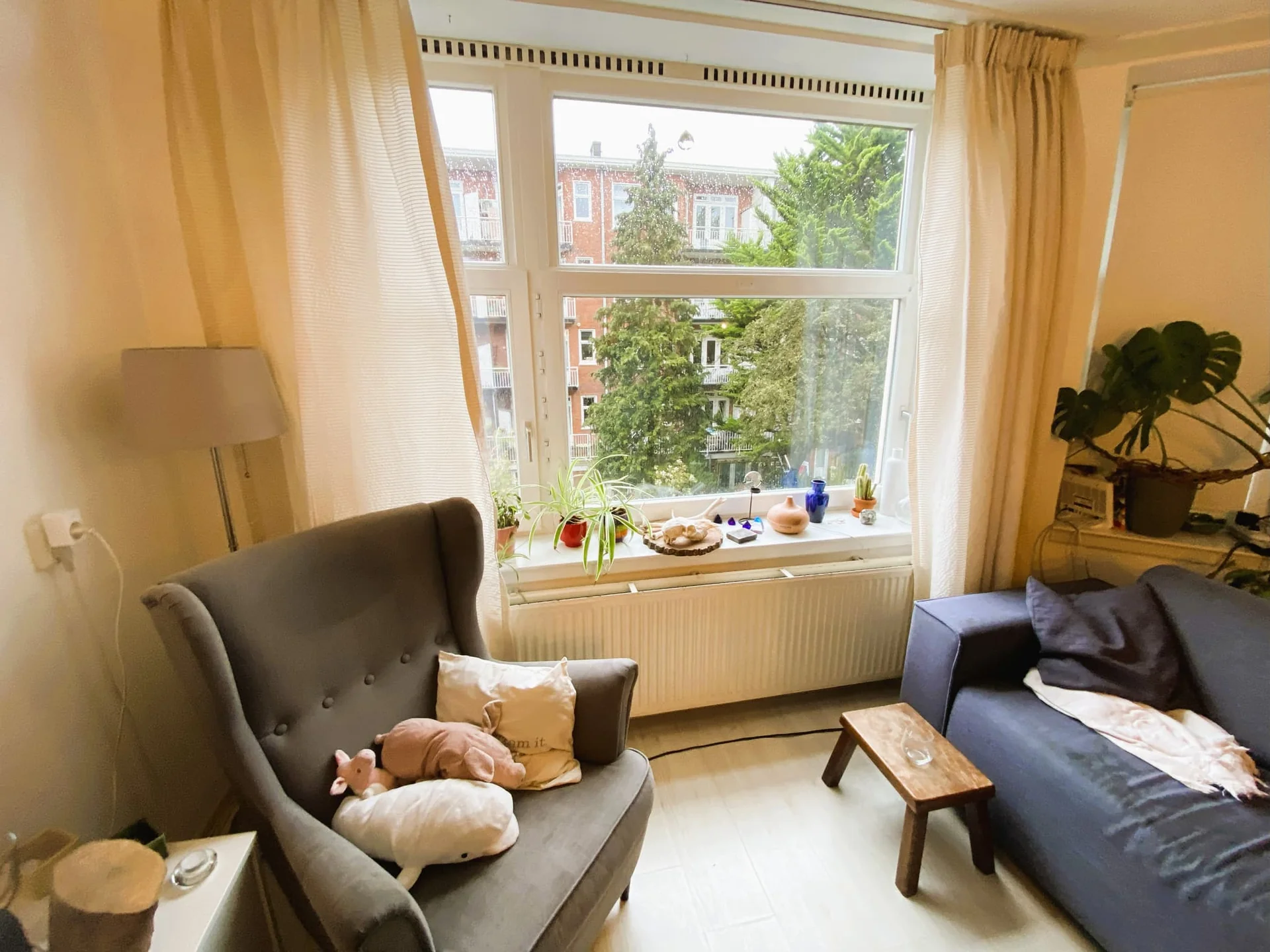 geblurde versie van de foto als achtergrond