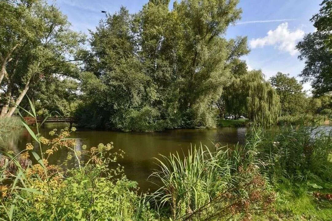 Foto van de Appartement gelegen aan de Dintelstraat in Amsterdam