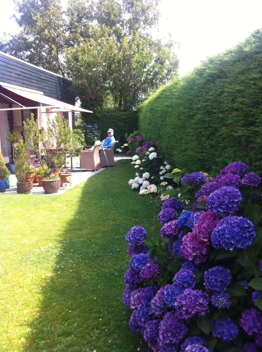 Foto van de Appartement gelegen aan de Duinschooten in Noordwijkerhout