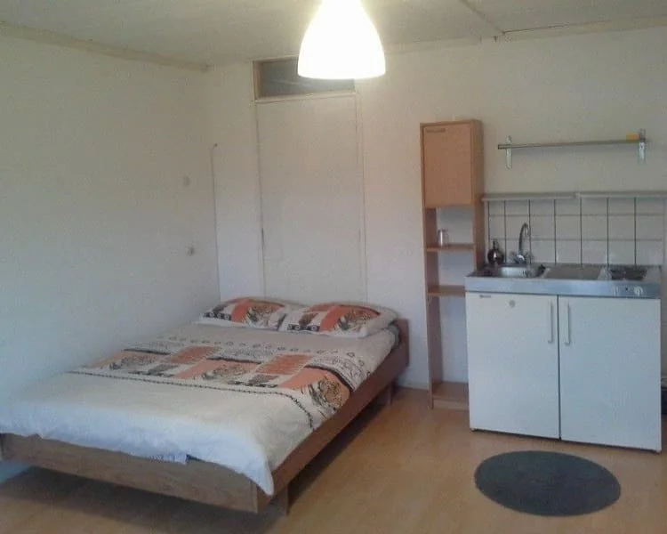 geblurde versie van de foto als achtergrond