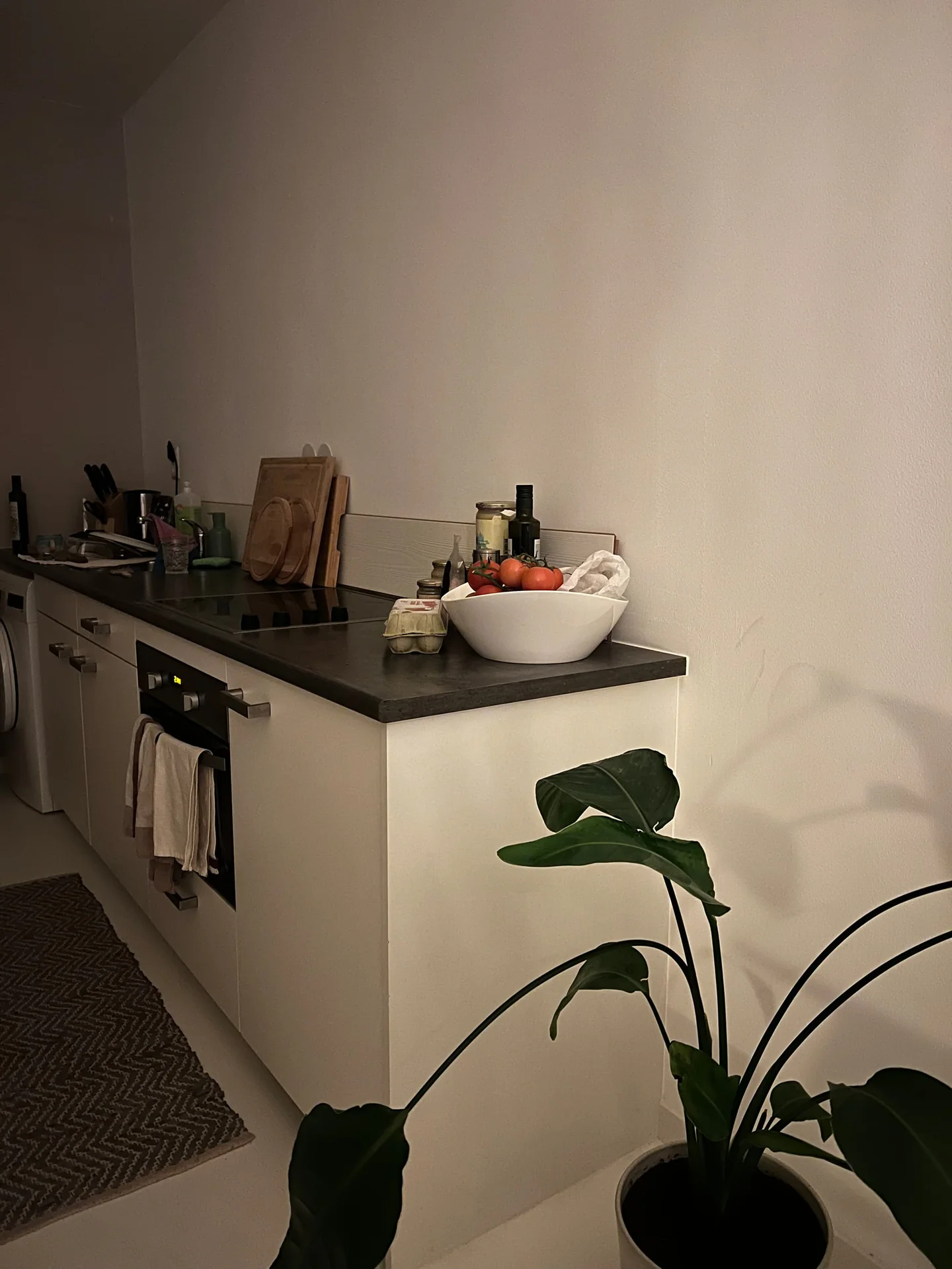 Foto van de Studio gelegen aan de Welnastraat in Amsterdam