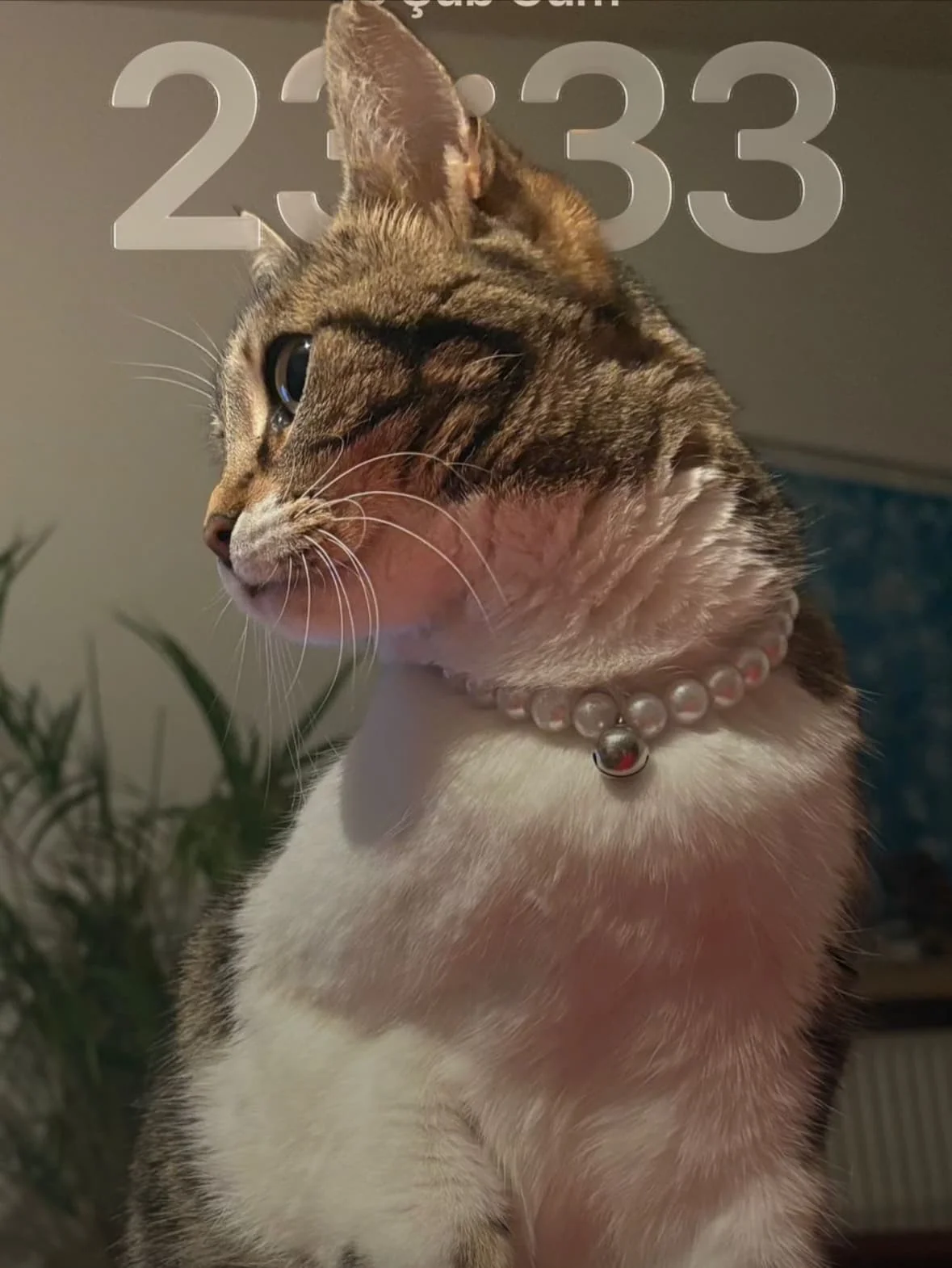 Foto van de Kamer gelegen aan de Kolfschotenstraat in Amsterdam