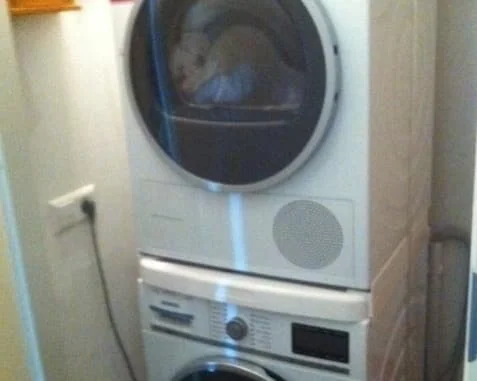 Foto van de Kamer gelegen aan de Willy Sluiterstraat in Amsterdam