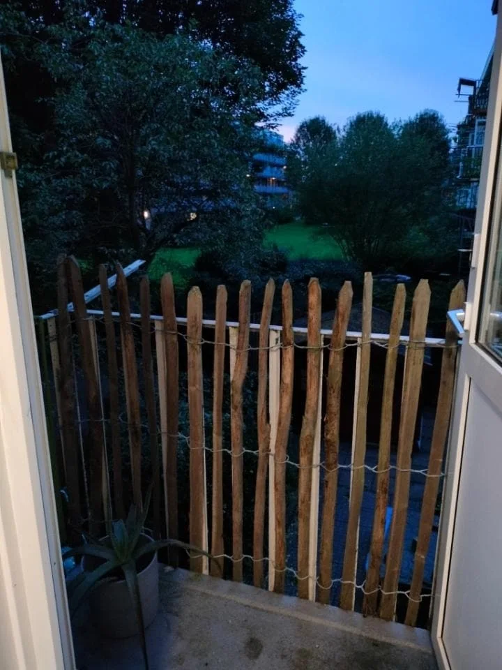 geblurde versie van de foto als achtergrond