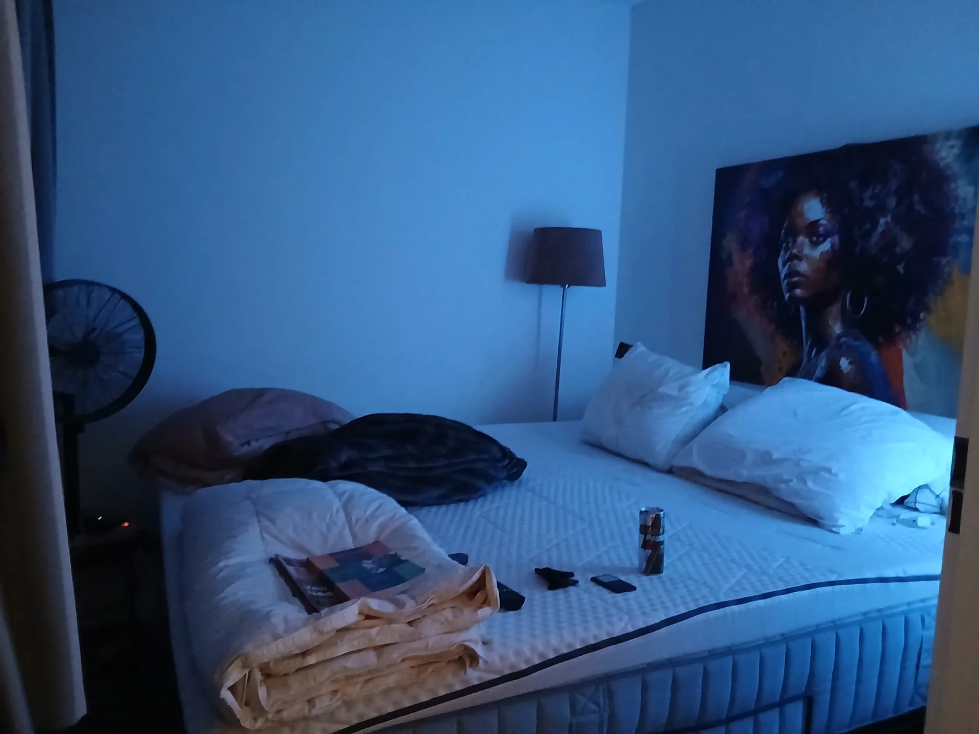 geblurde versie van de foto als achtergrond