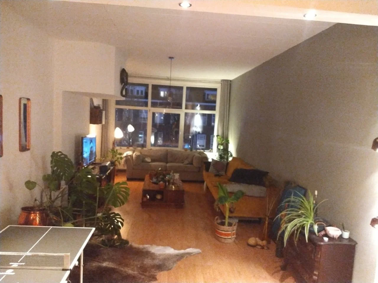 Foto van de Kamer gelegen aan de Dierenselaan in Den Haag