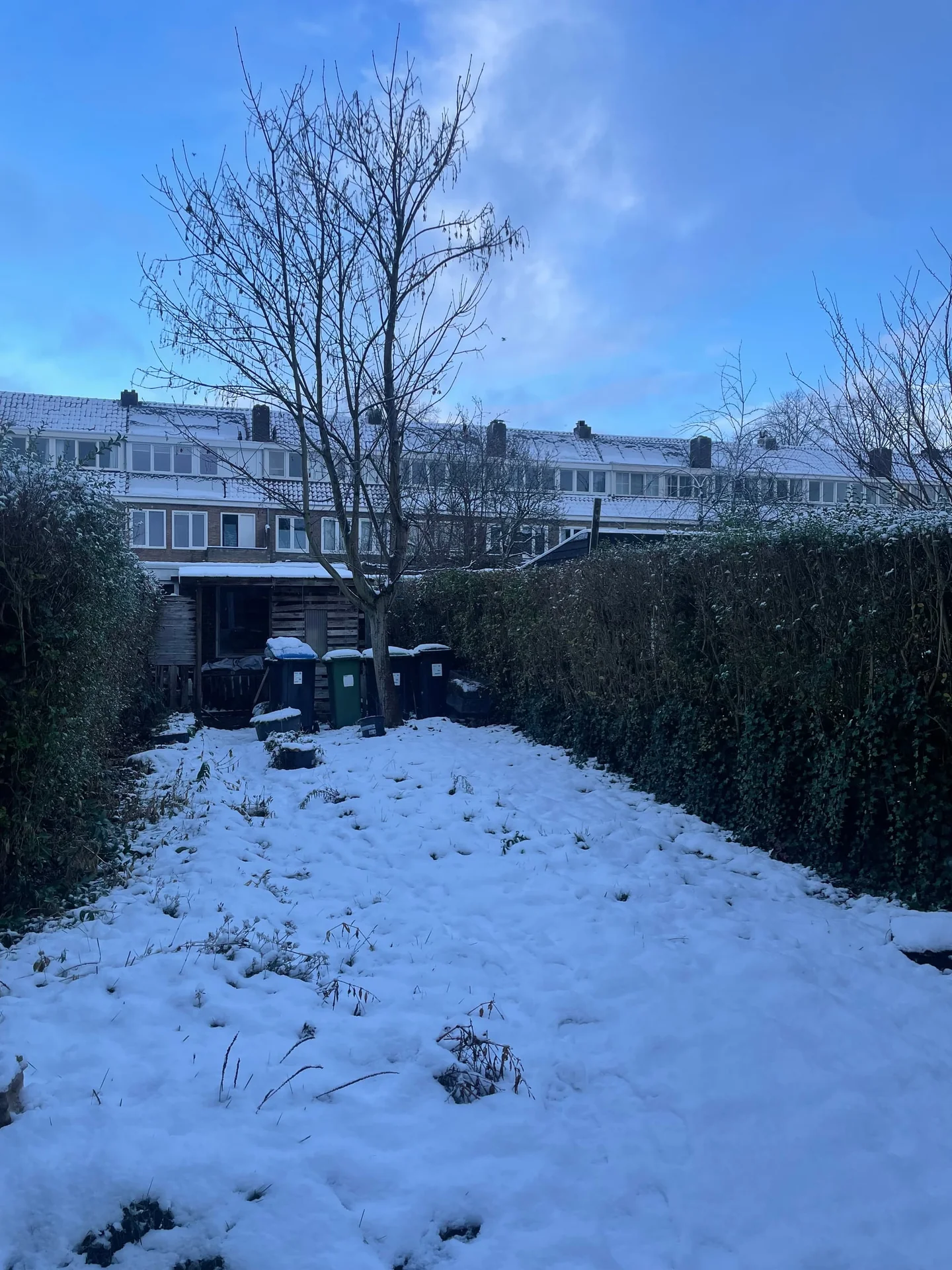 Foto van de Kamer gelegen aan de Juliusstraat in Eindhoven