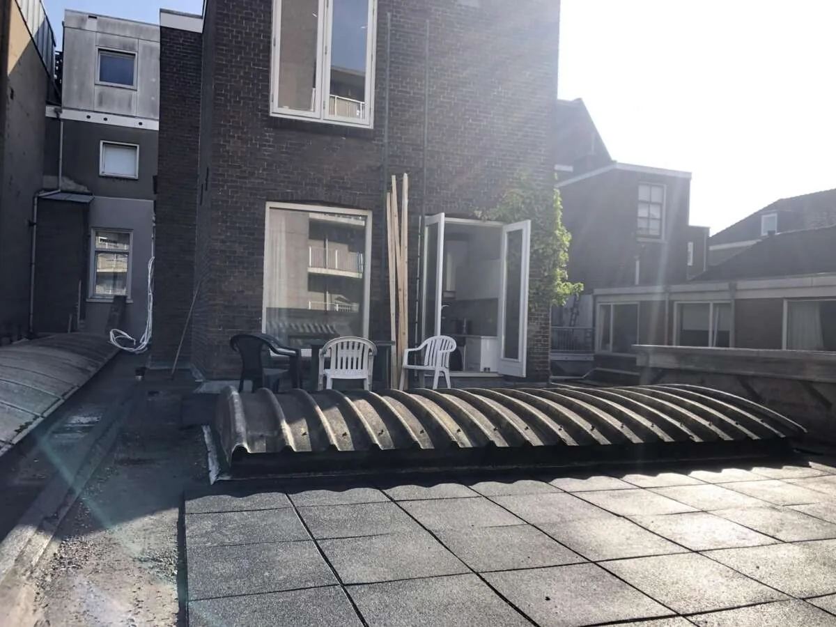 geblurde versie van de foto als achtergrond