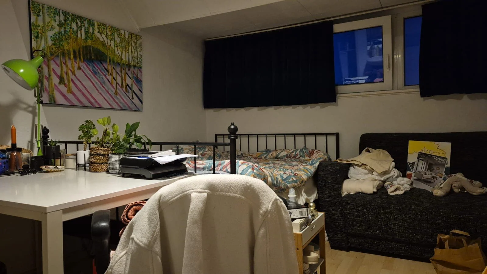 geblurde versie van de foto als achtergrond