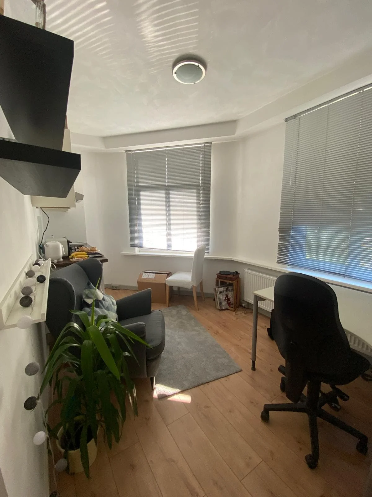 geblurde versie van de foto als achtergrond